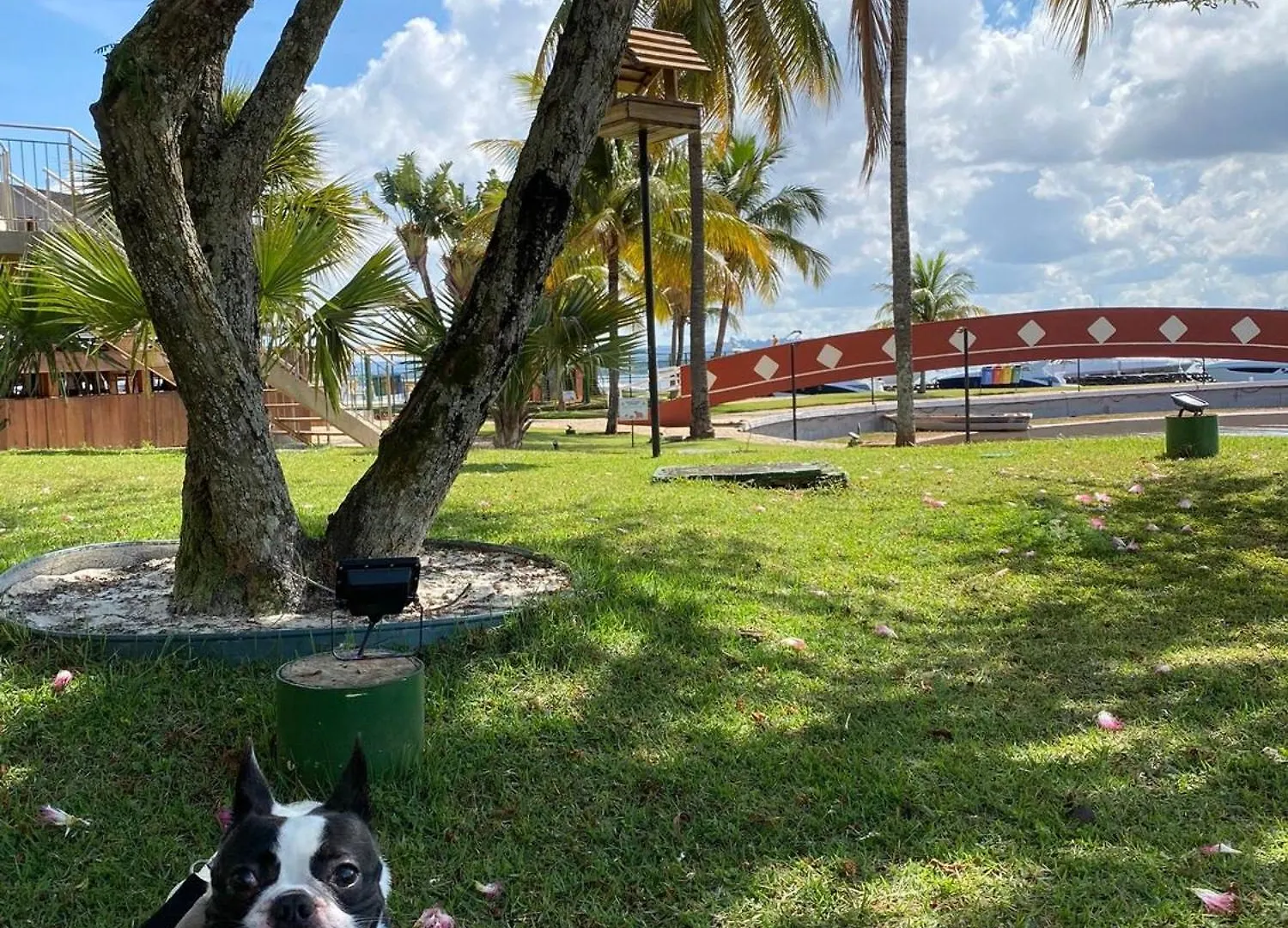 Flat Beira Lago No Centro De Bsb 巴西利亚 0*,  巴西
