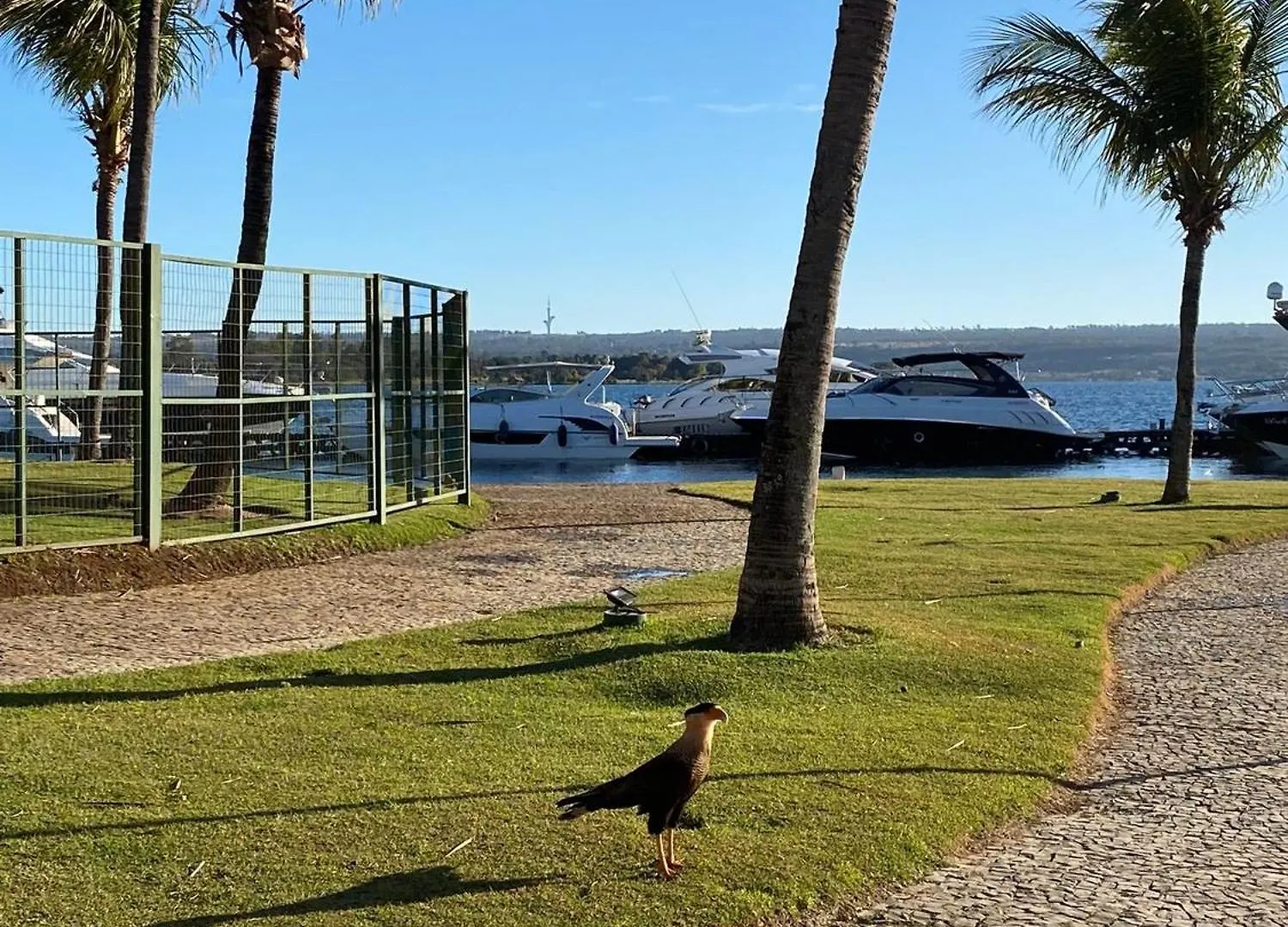 Flat Beira Lago No Centro De Bsb 巴西利亚 公寓